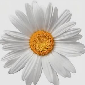 Welcome To My Closet!